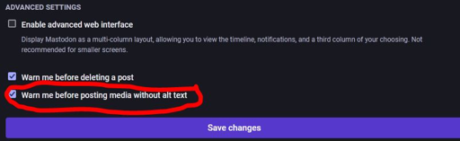 Screenshot of the advanced settings in /settings/preferences/appearance. The setting "Warn me before posting media without alt text" is checked and circled in red.